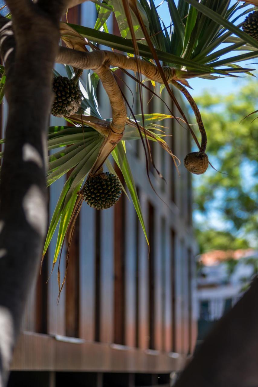 Arts In Hotel Conde Carvalhal Funchal  Bagian luar foto