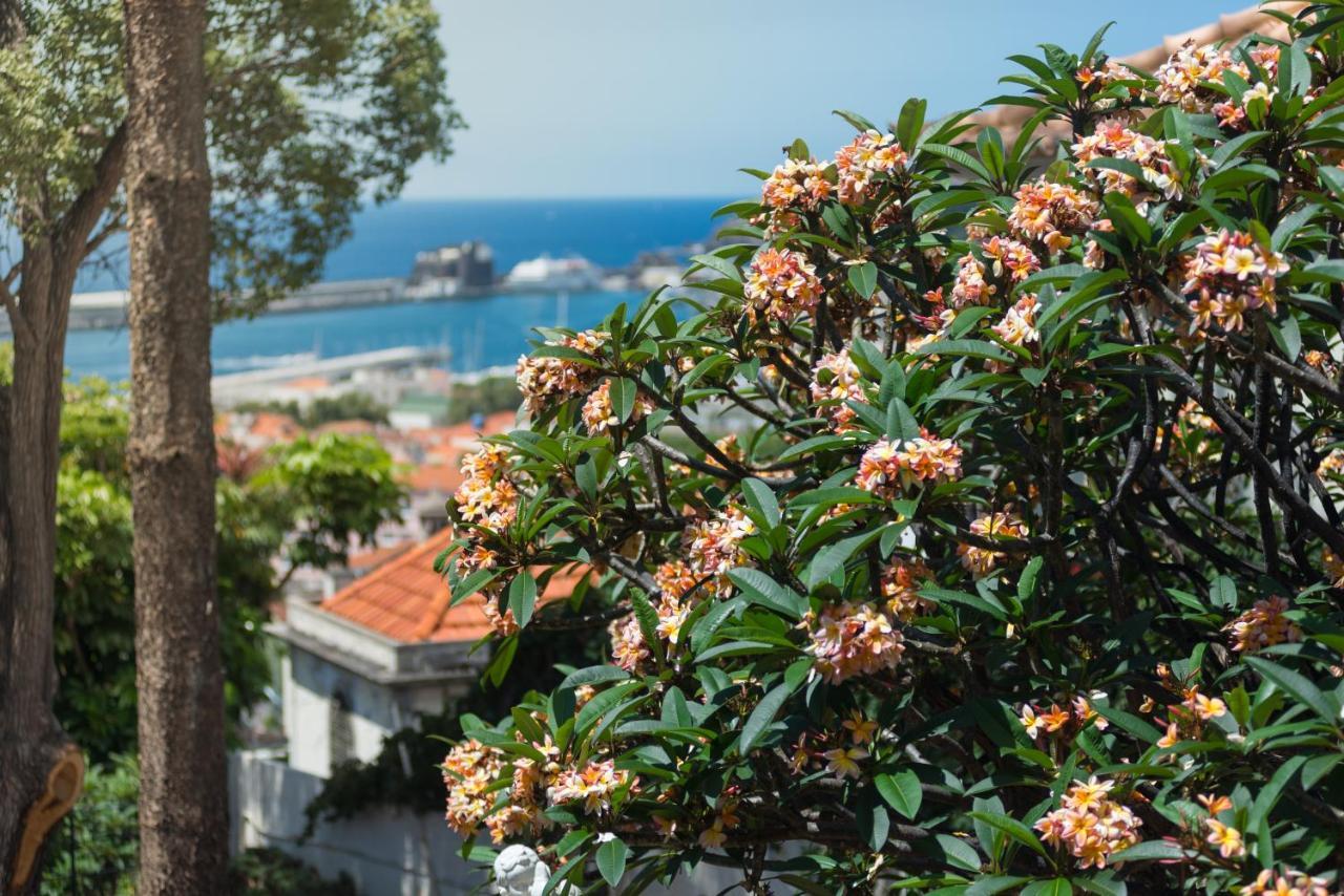 Arts In Hotel Conde Carvalhal Funchal  Bagian luar foto